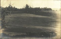 Golf Course Green No. 8 Landscape Postcard