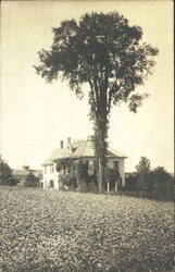 Stock #1128222 Thumbnail