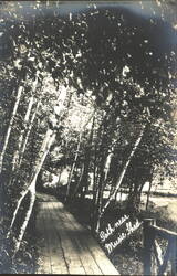 Path near Music Shed, Norfolk, CT Postcard