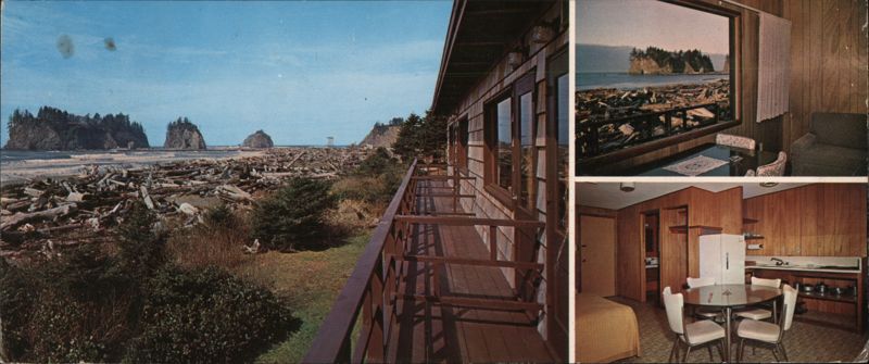 La Push Ocean Park, Beach, Sea Stacks, Driftwood, WA Washington