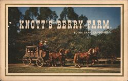 Knott's Berry Farm Stagecoach & Old West Town Large Format Postcard