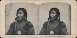 Black Hawk, Apache Chief Stereoview
