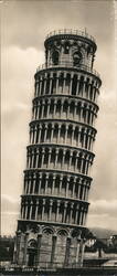 Leaning Tower of Pisa (Torre Pendente) Large Format Postcard