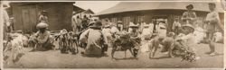 Dog Market, Philippines Large Format Postcard