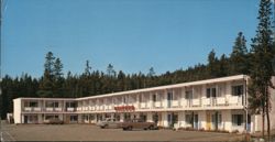 DIAMOND MOTEL, Jasper National Park, Alberta, Canada Large Format Postcard