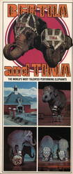 Bertha & Tina, World's Most Talented Elephants, Nugget Large Format Postcard