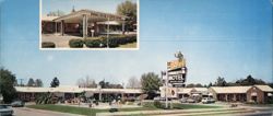 Summerton Motel & Coffee Shop, Dining Room, TV Room Large Format Postcard