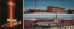 Glen Canyon Motel Illuminated Sign & Pool, Page, AZ Large Format Postcard