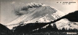 Mt. St. Helens Eruption, March 27, 1980 Large Format Postcard