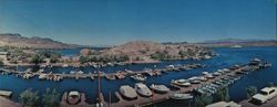 Boat Marina at Black Meadow Landing, Lake Havasu Large Format Postcard