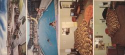 Park Vue Motel, Pool, Rooms, Disneyland Area Large Format Postcard