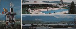 Ponderosa Motor Inn, Pool, Mountain Views Large Format Postcard