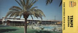 Park Riviera Motor Hotel Pool Palm Tree Tempe AZ Large Format Postcard