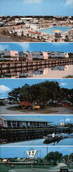 Hatteras Sands Camping Resort, Outer Banks Large Format Postcard