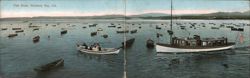Fish Boats, Monterey Bay, CA Large Format Postcard