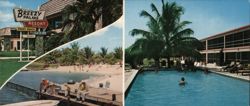 Breezy Palms Resort, Sandy Beach, Pool, Islamorada, FL Large Format Postcard