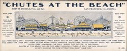 Chutes at the Beach Amusement Park, San Francisco Blotter