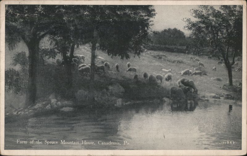 Farm of the Spruce Mountain House, Canadensis