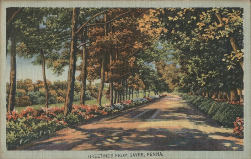 Tree-Lined Road, Sayre, PA Pennsylvania
