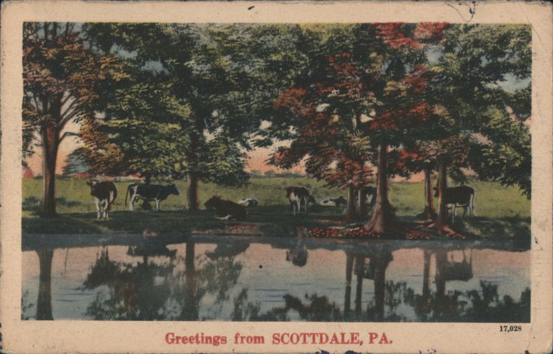 Cows Grazing by Water, Scottsdale, PA Scottdale Pennsylvania