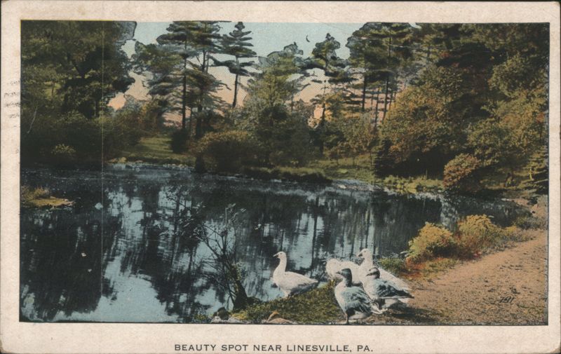 Beauty Spot near Linesville, PA with Geese by Water Pennsylvania