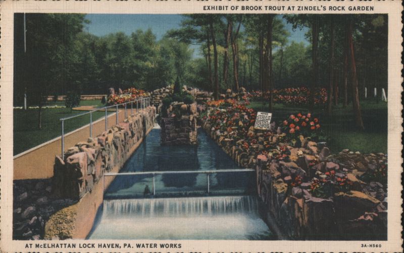 Brook Trout Exhibit at Zindel's Rock Garden Lock Haven Pennsylvania