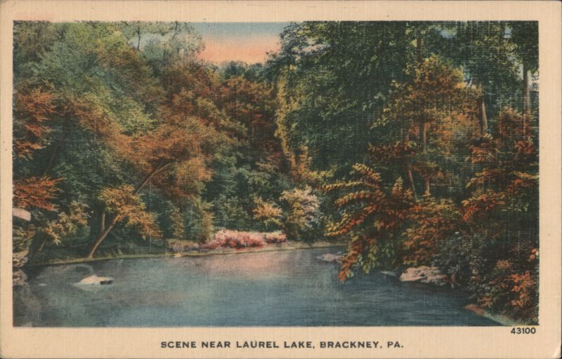 Scene Near Laurel Lake, Brackney, PA Pennsylvania
