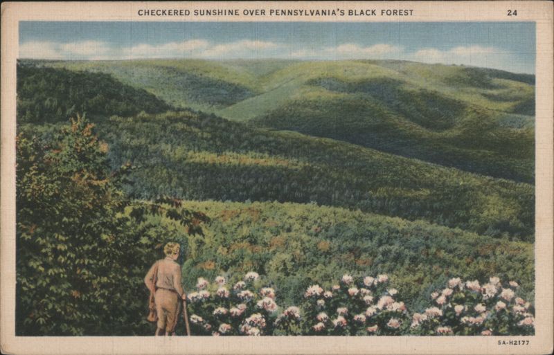 Checkered Sunshine Over Pennsylvania's Black Forest Harrisburg