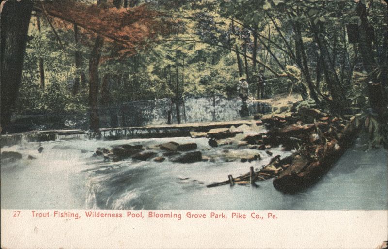 Trout Fishing, Wilderness Pool, Blooming Grove Park Pennsylvania