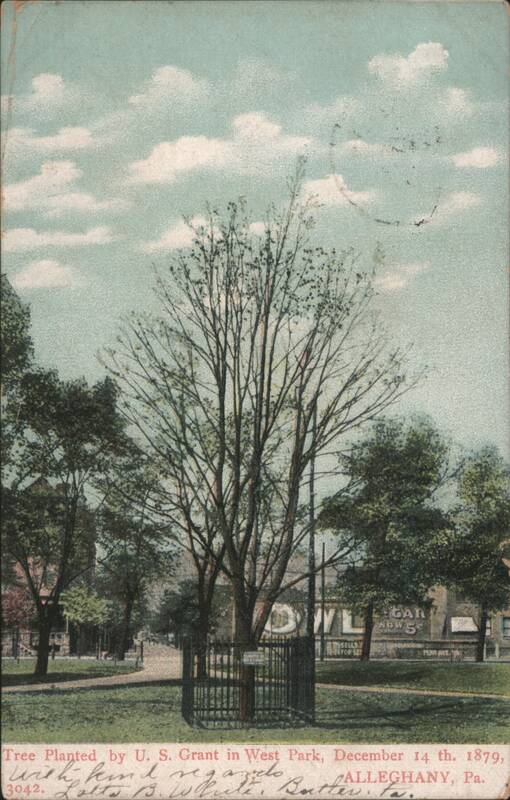 Tree Planted by U. S. Grant, West Park, December 14, 1879 Allegheny Pennsylvania