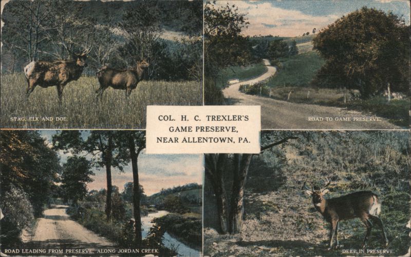 Col. H. C. Trexler's Game Preserve, Allentown, PA Pennsylvania