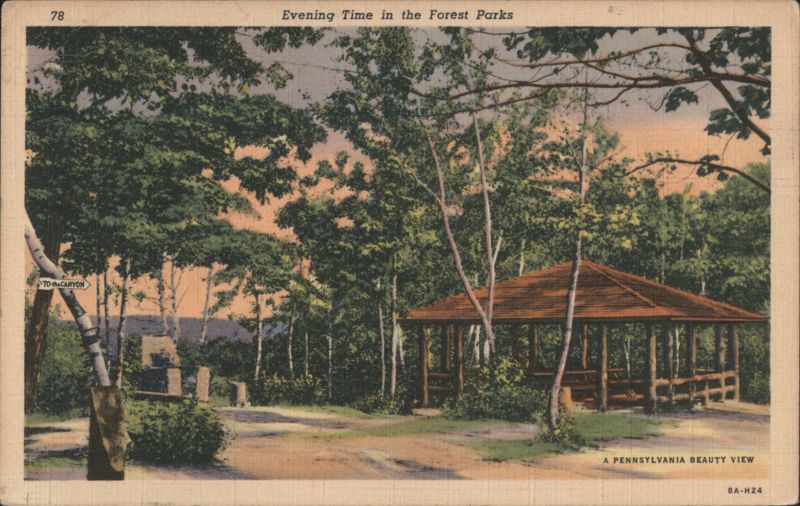 Evening Time in the Forest Parks - Pennsylvania Pavilion