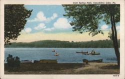 Cold Spring Park, Canadohta Lake, PA Postcard