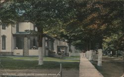 Main Street, Looking South Postcard
