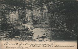 Beautiful Rider Glen, Cambridge Springs, PA Postcard