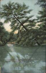 Scenic View along French Creek, Cambridge Springs Postcard