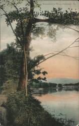 Susquehanna River, Hallstead, PA Postcard
