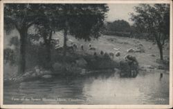 Farm of the Spruce Mountain House, Canadensis Postcard