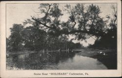 Scene Near "HOLOBARS" Postcard