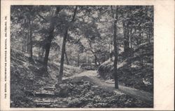 The Brook, Kiskiminetas Springs School, Saltsburg, PA Postcard