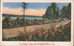Scenic Road and Lake, Spinnerstown, PA Postcard