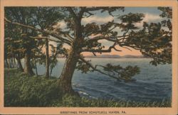 Greetings from Schuylkill Haven, PA Postcard