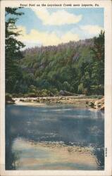 Trout Pool on Loyalsock Creek near Laporte Postcard