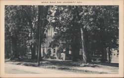 Maple Walk and University Hall, Lincoln University Centennial Postcard