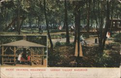 Picnic Grounds, Bellewood, Lehigh Valley Railroad Postcard