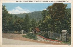 Entrance to Wildcat Park on Roosevelt Highway Postcard