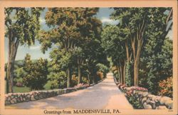 Tree-Lined Road with Stone Wall, Maddensville, PA Postcard