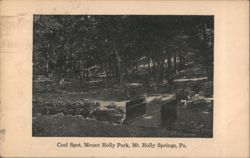 Cool Spot, Mount Holly Park Postcard