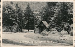 Entrance to Wild Cat Park, Ludlow, PA Postcard