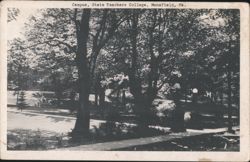 Stock #1184306 Thumbnail